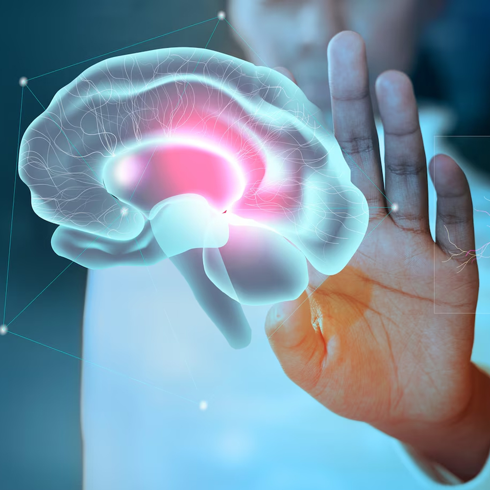 Neurology and nephrology experts Alappuzha
